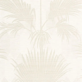 Palmeria - Neutral