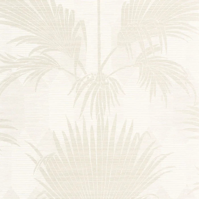 Palmeria - Neutral