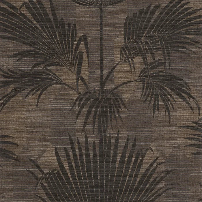 Palmeria - Noir Fusain