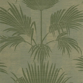 Palmeria - Vert Canopee