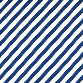 Paper Straw Stripe - Lapis