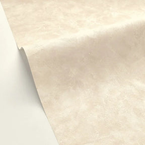 Patine 2 - Beige Nacre