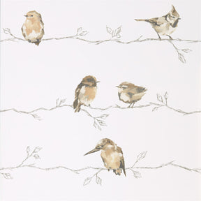 Persico- Neutral/Chalk