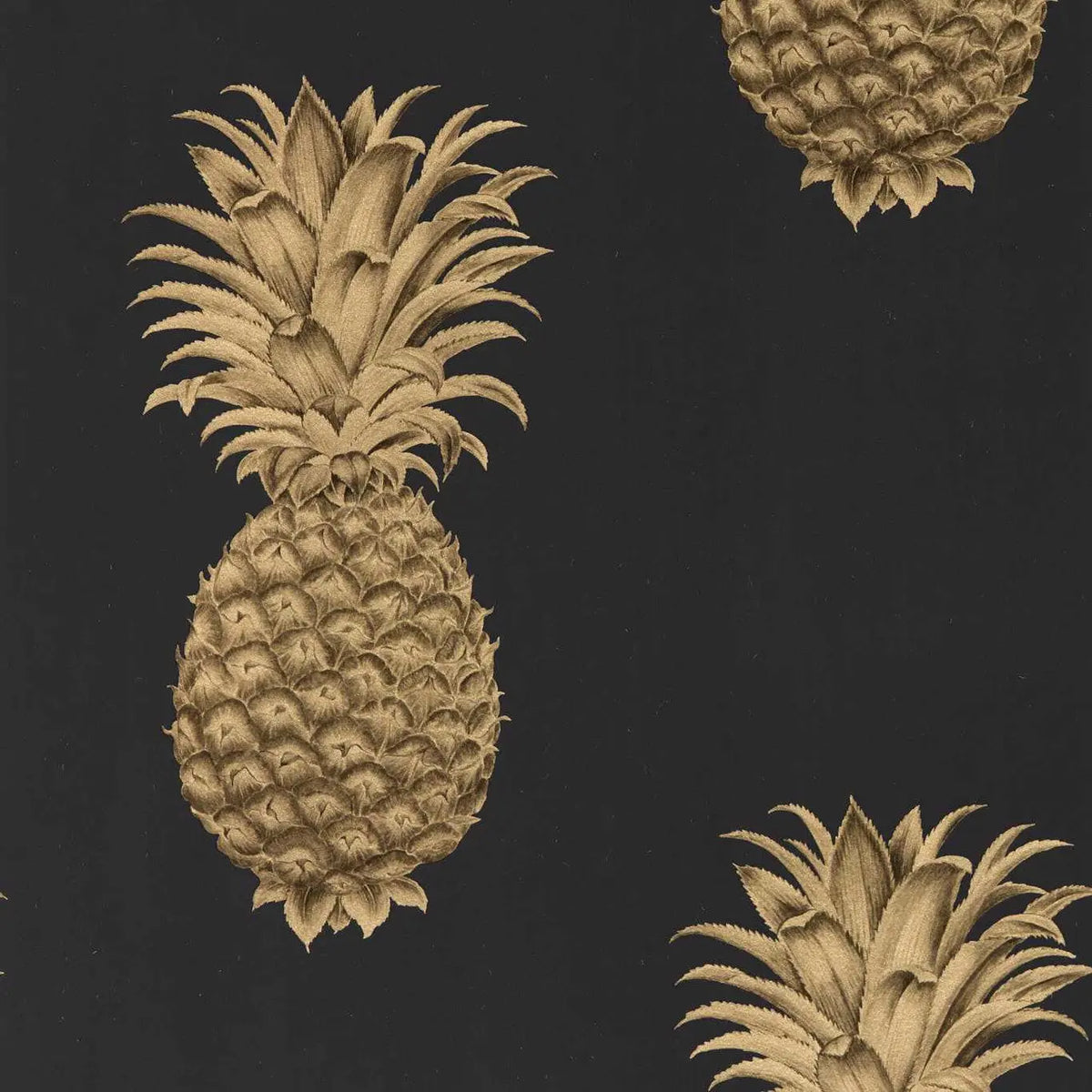 Pineapple Royale - Graphite/Gold