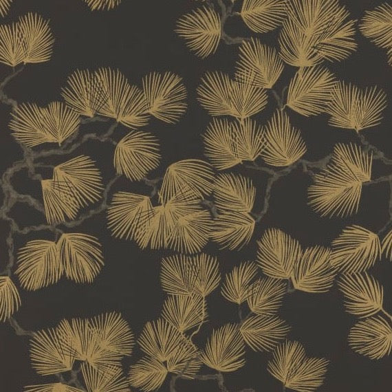 Pine - Black