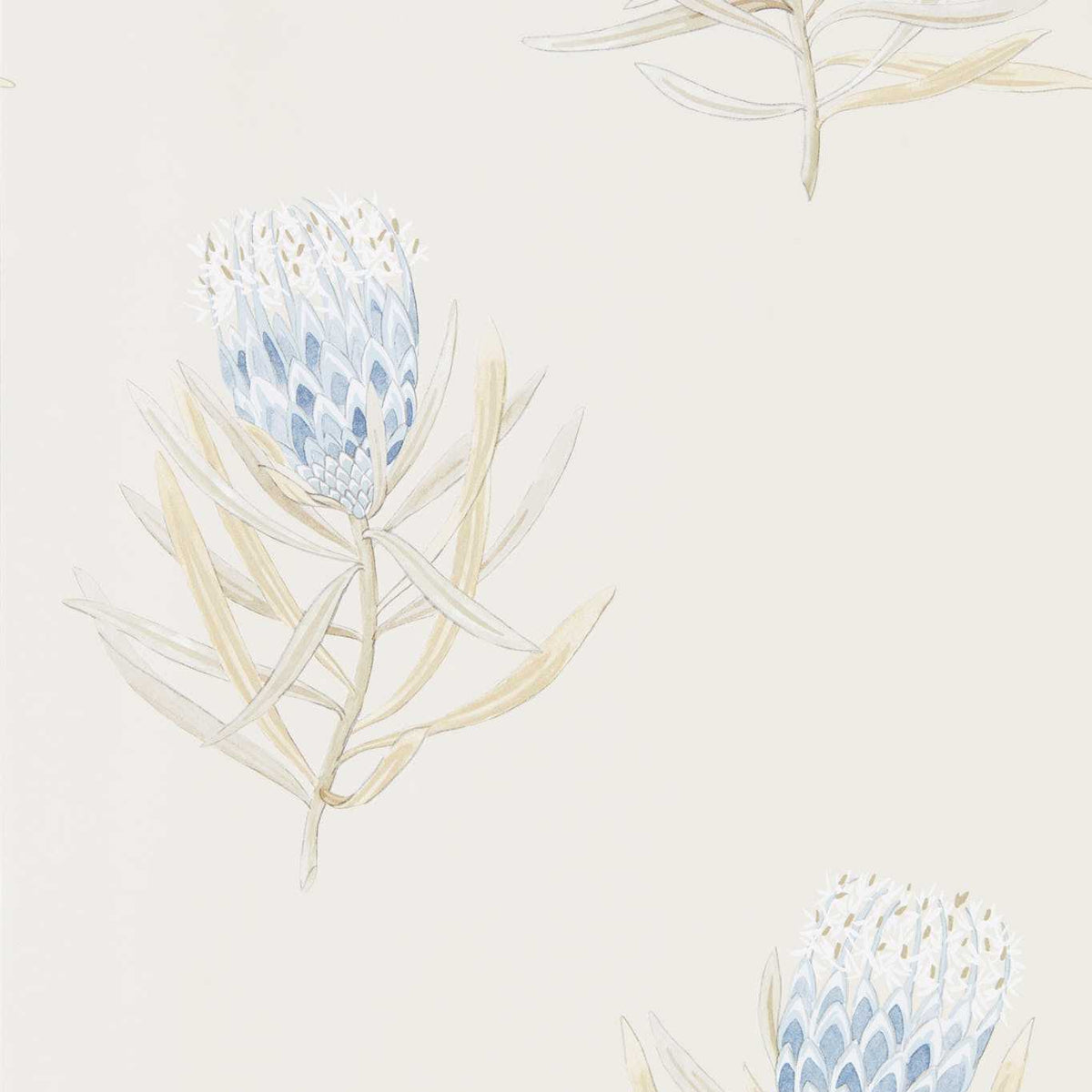 Protea Flower - China Blue/Canvas