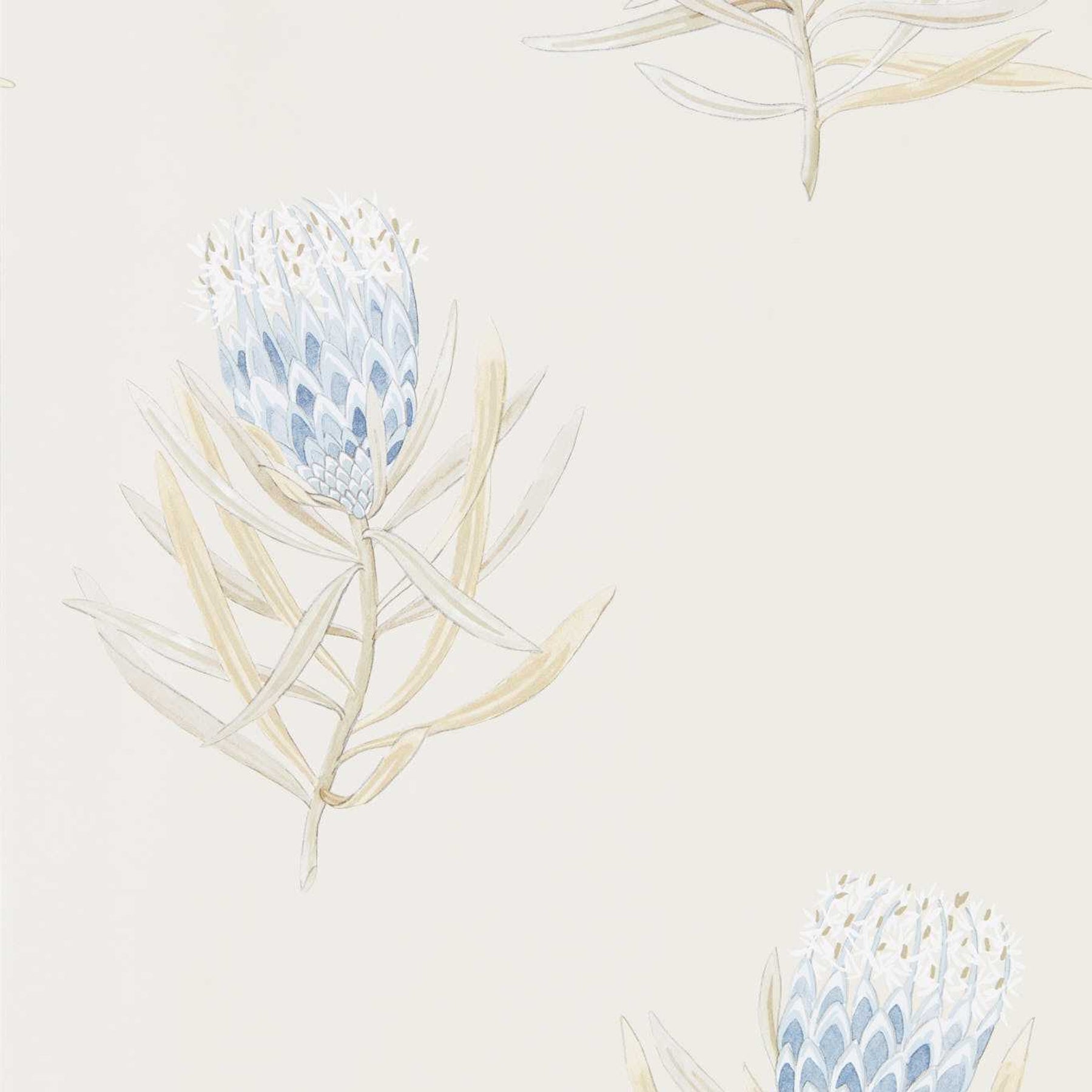 Protea Flower - China Blue/Canvas