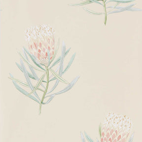 Protea Flower - Russet/Green