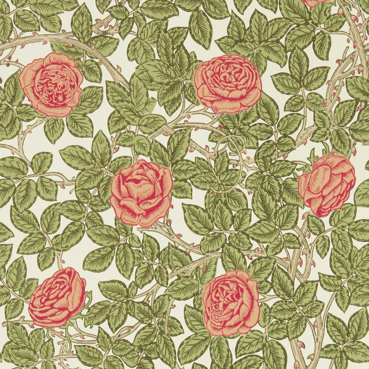 Rambling Rose - Twining Vine