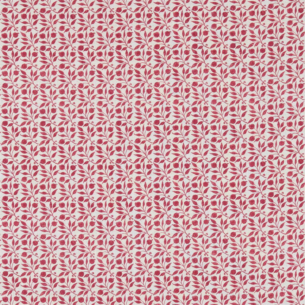 Rosehip - Rose