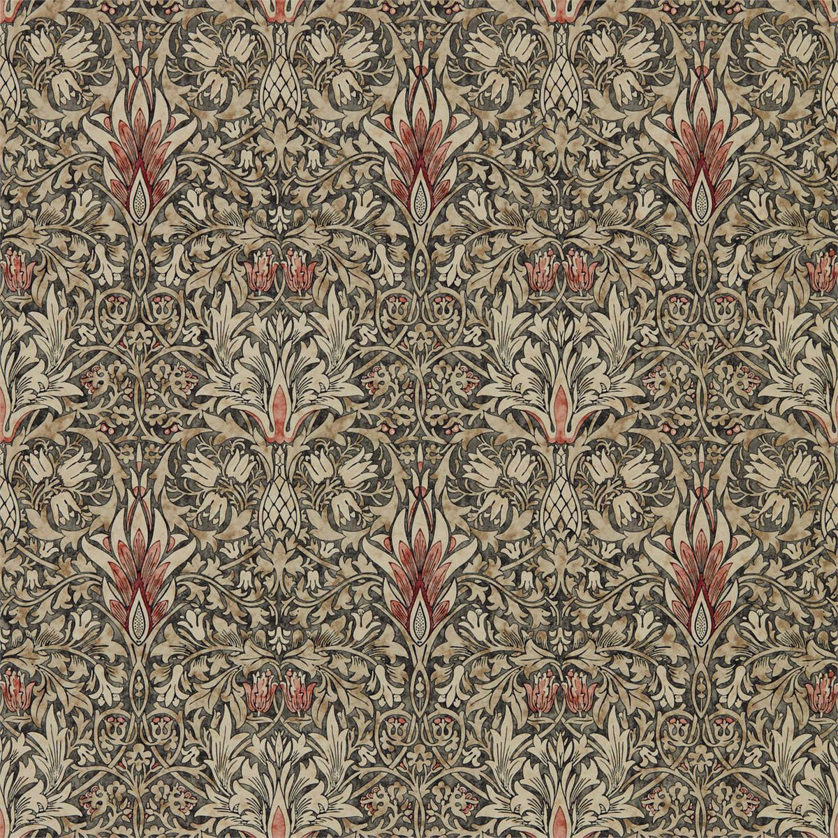 Snakeshead - Charcoal/Spice