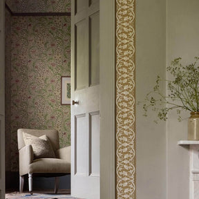 St Johns Border -  Sussex Rush