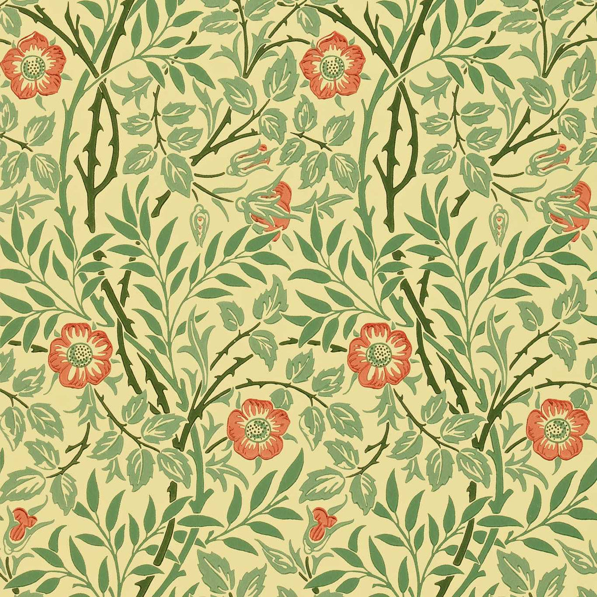 Sweet Briar - Green/Rust