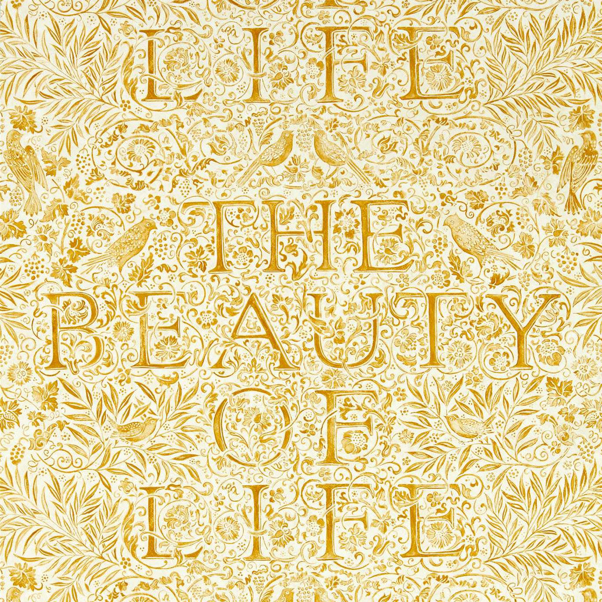 The Beauty of Life - Sunflower
