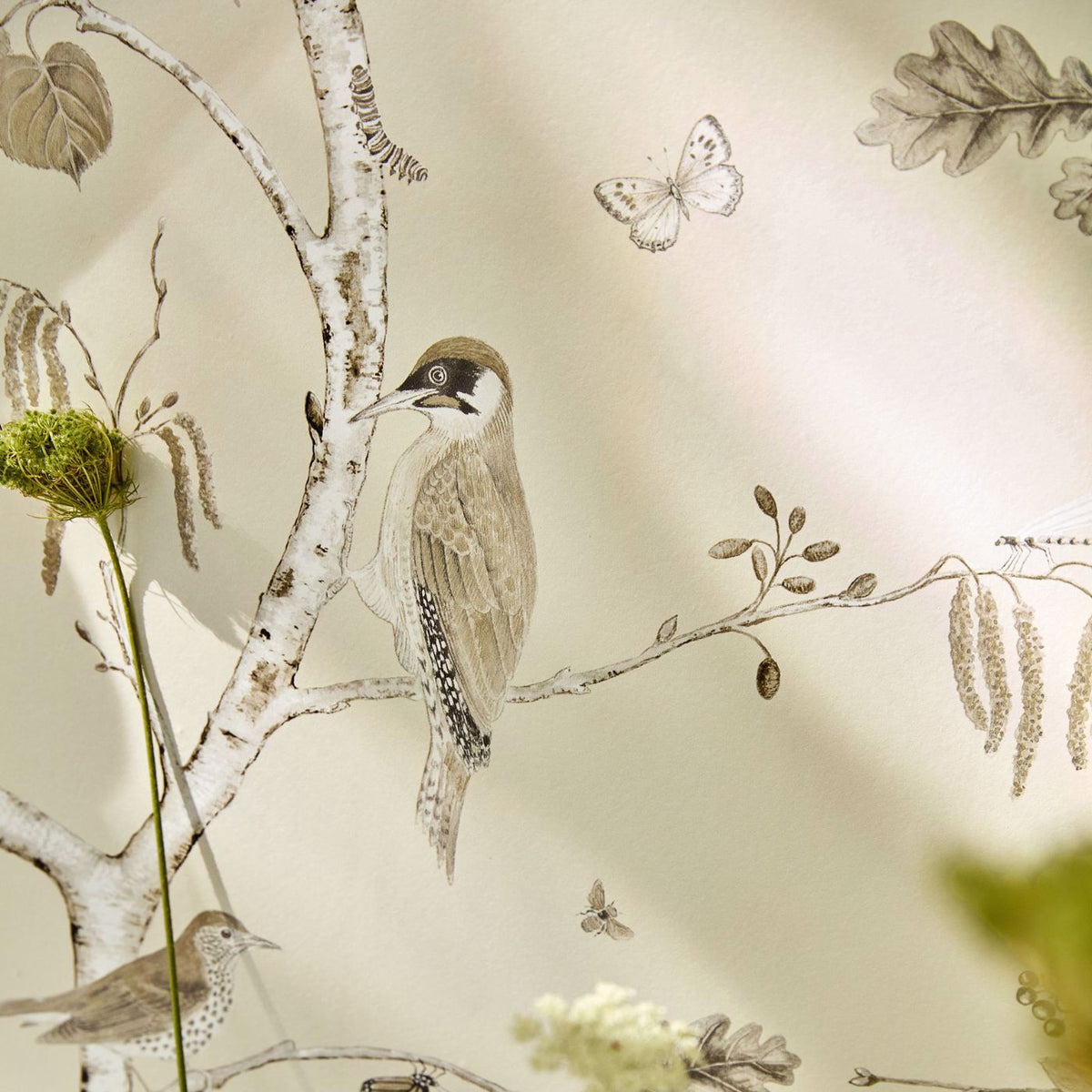 Woodland Chorus - Sepia/Neutral
