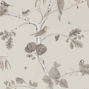 Woodland Chorus - Sepia/Neutral