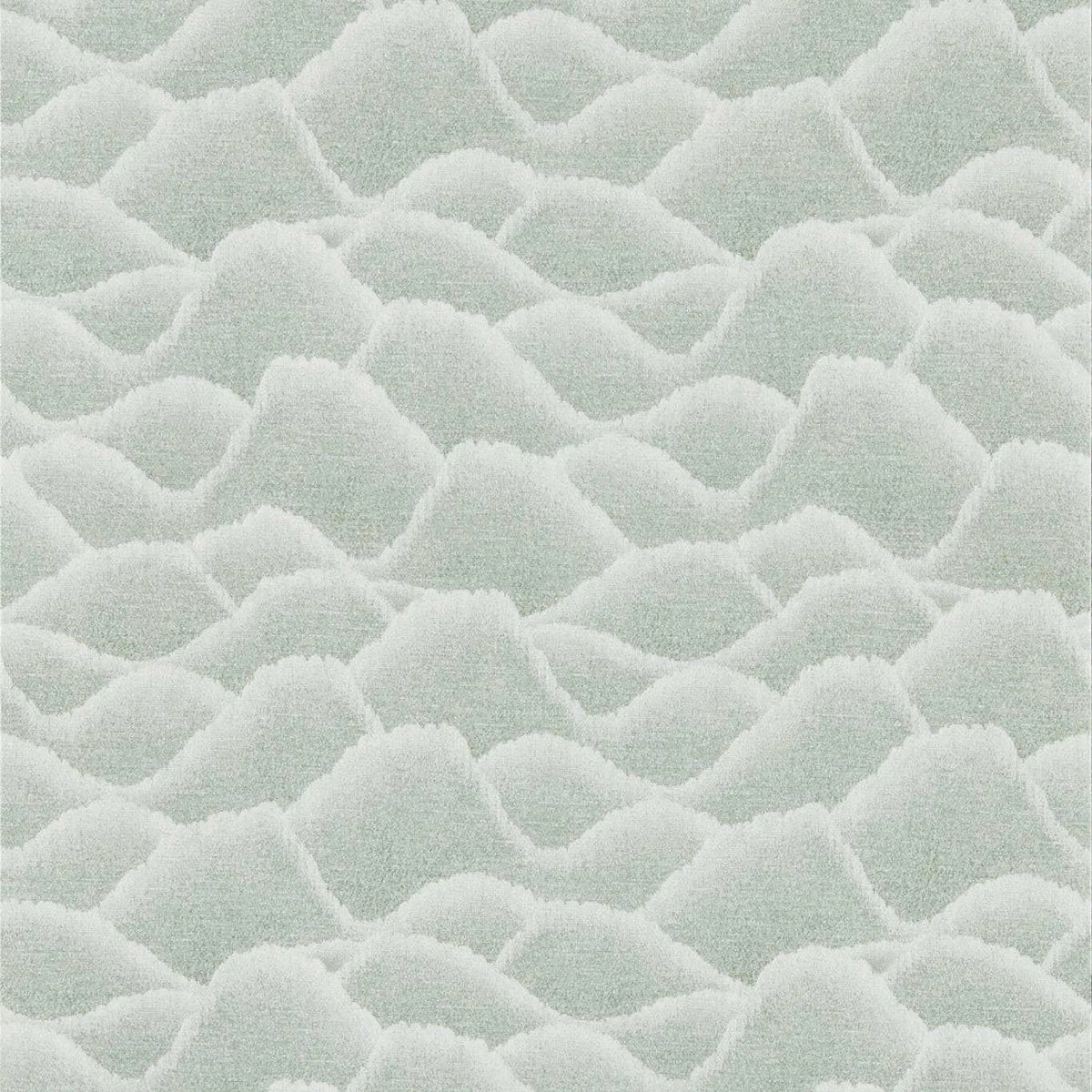Zuni -  Aloe