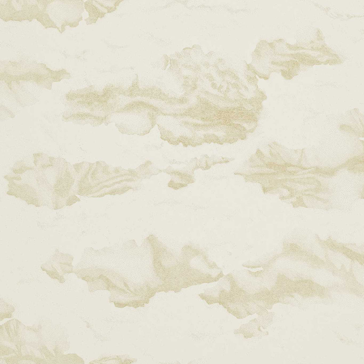 Nuvola Gold/Shell