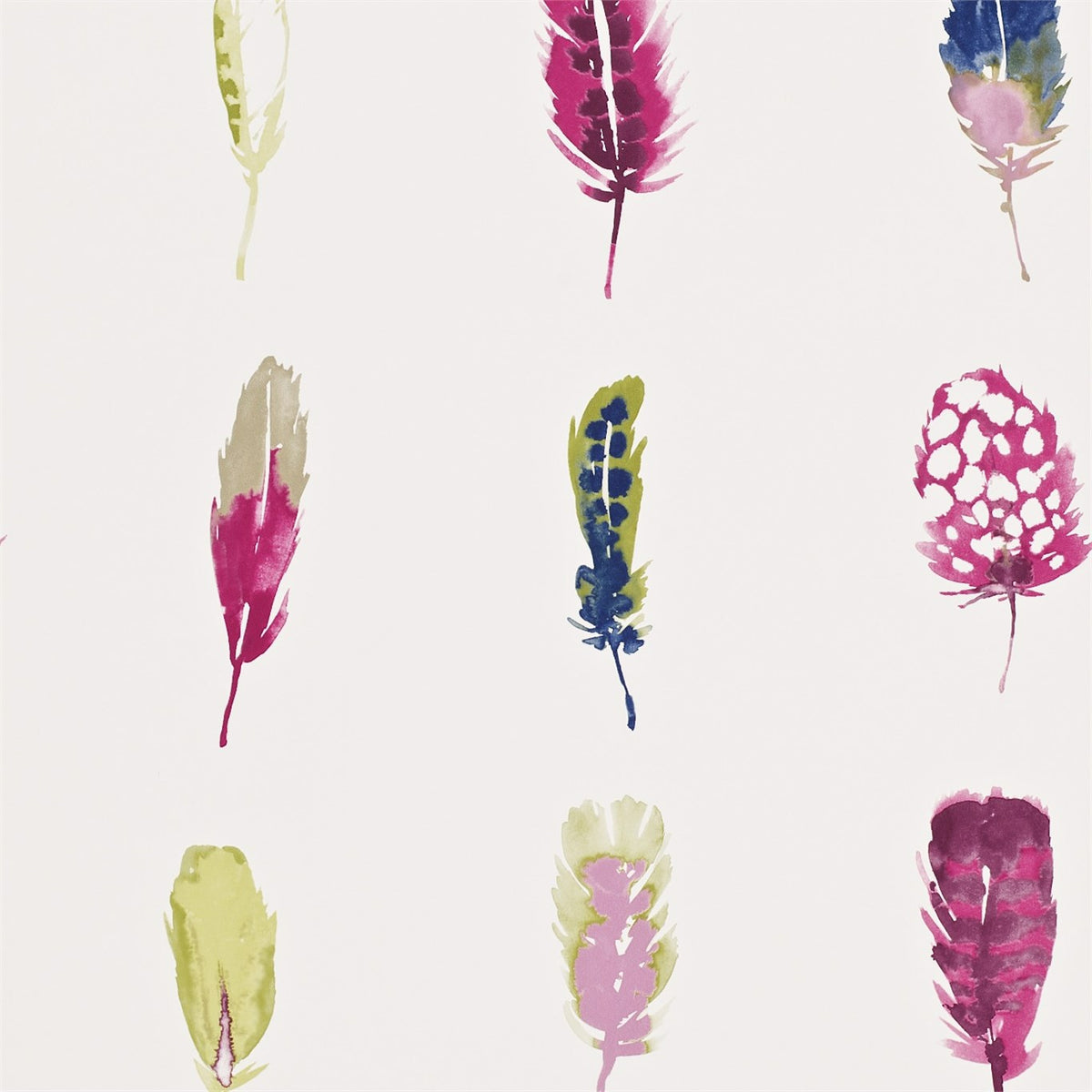 Limosa Loganberry/Raspberry/Olive