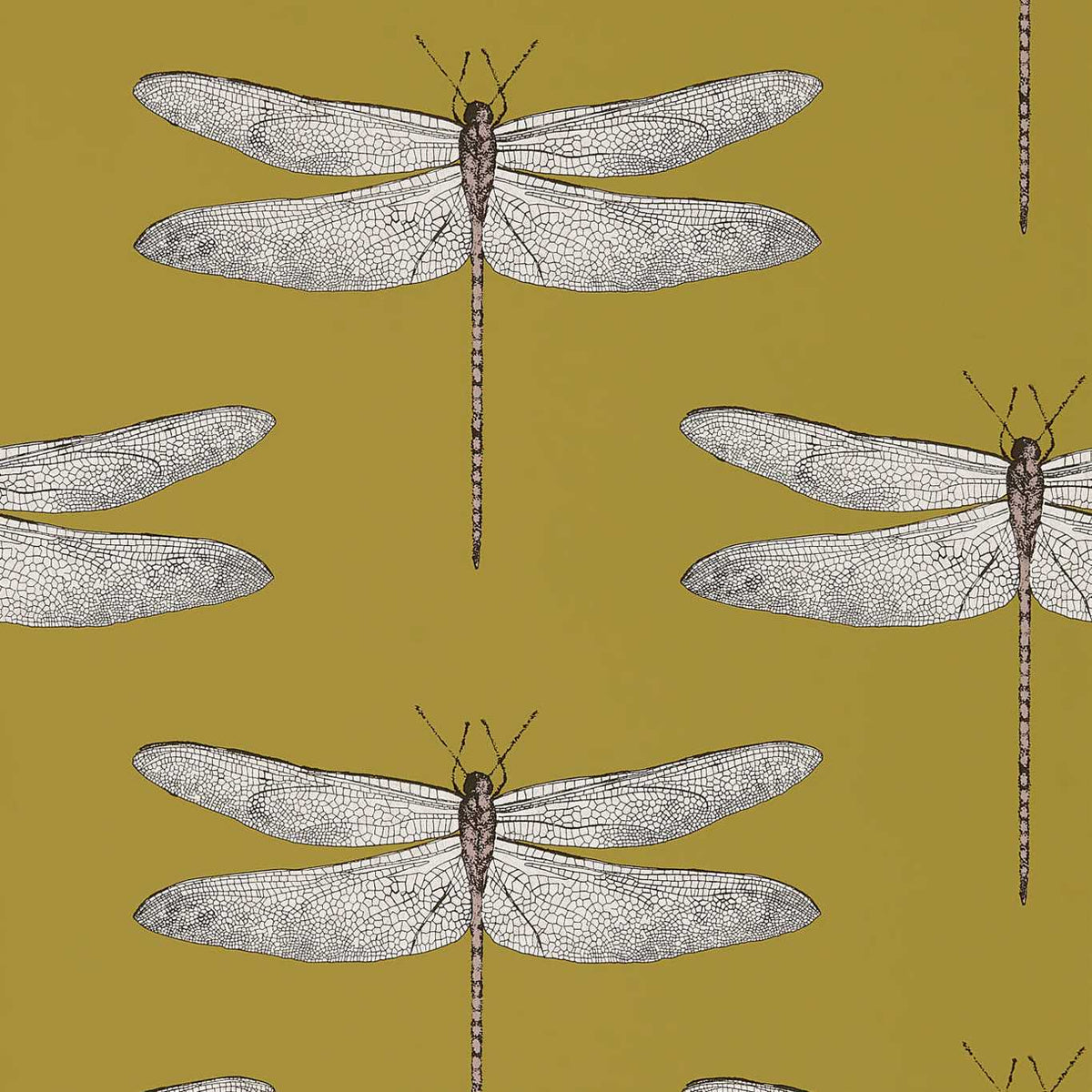 Demoiselle - Ochre/Grape