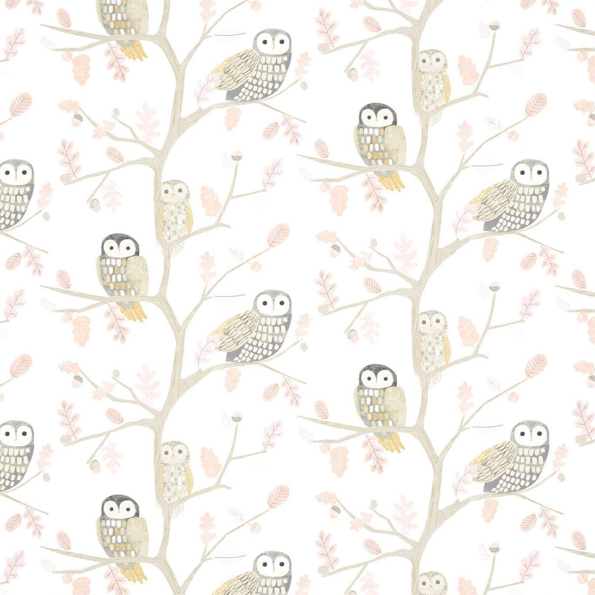 Little Owls - Powder