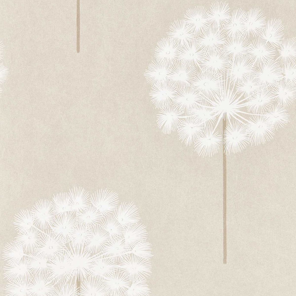 Amity - Rosegold/Pearl