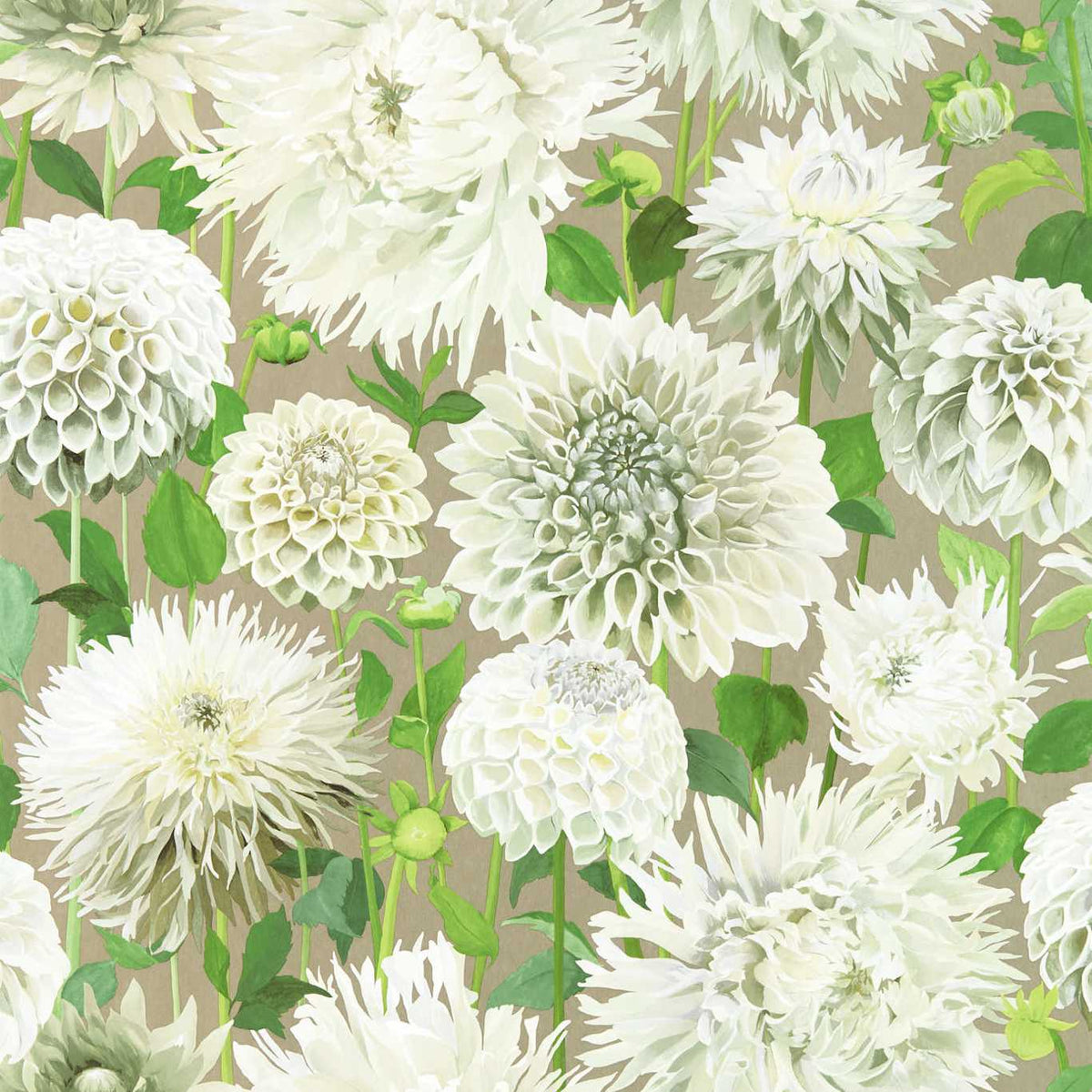 Dahlia - Sailcloth/Meadow/Gilver