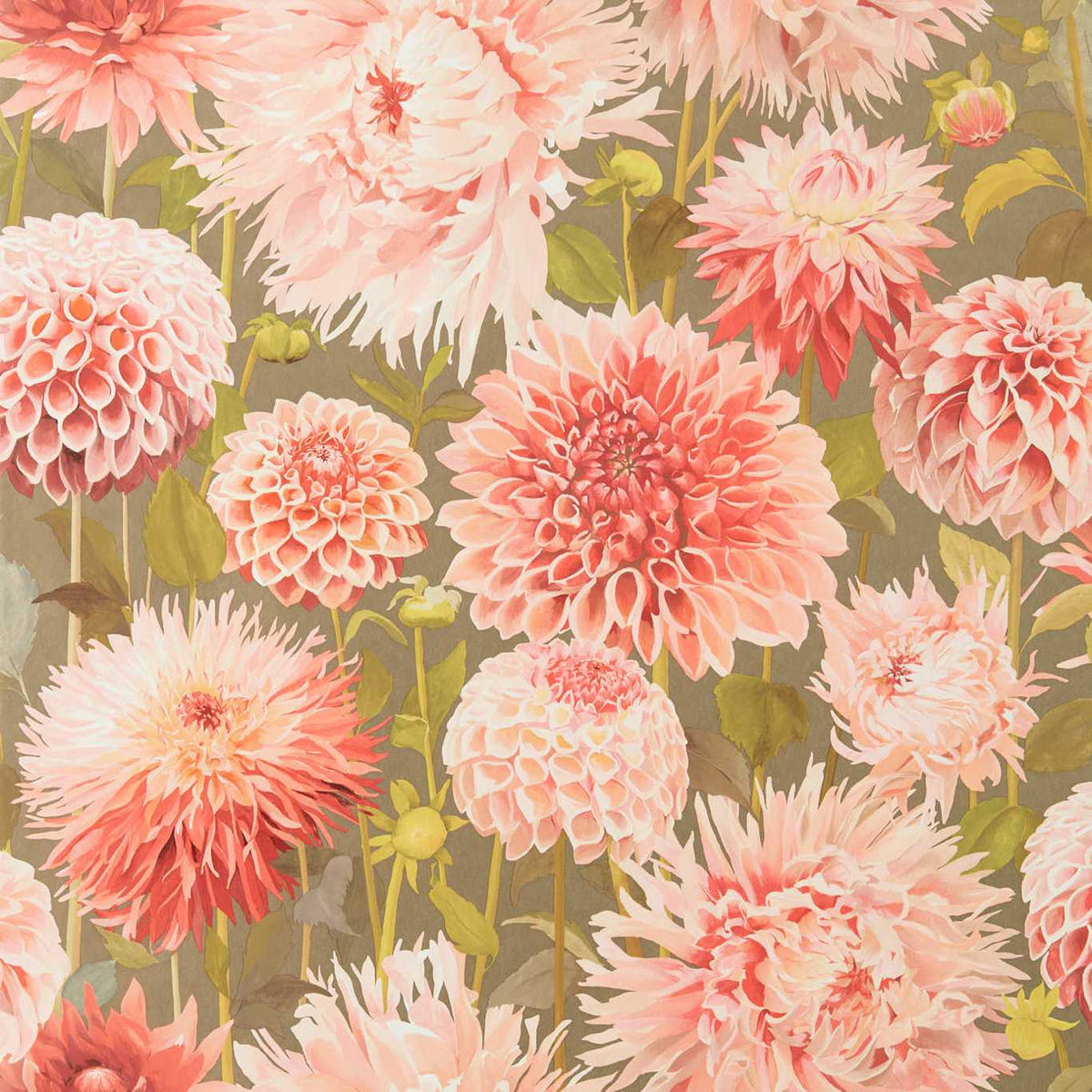 Dahlia - Coral/Gilver/Fig Leaf