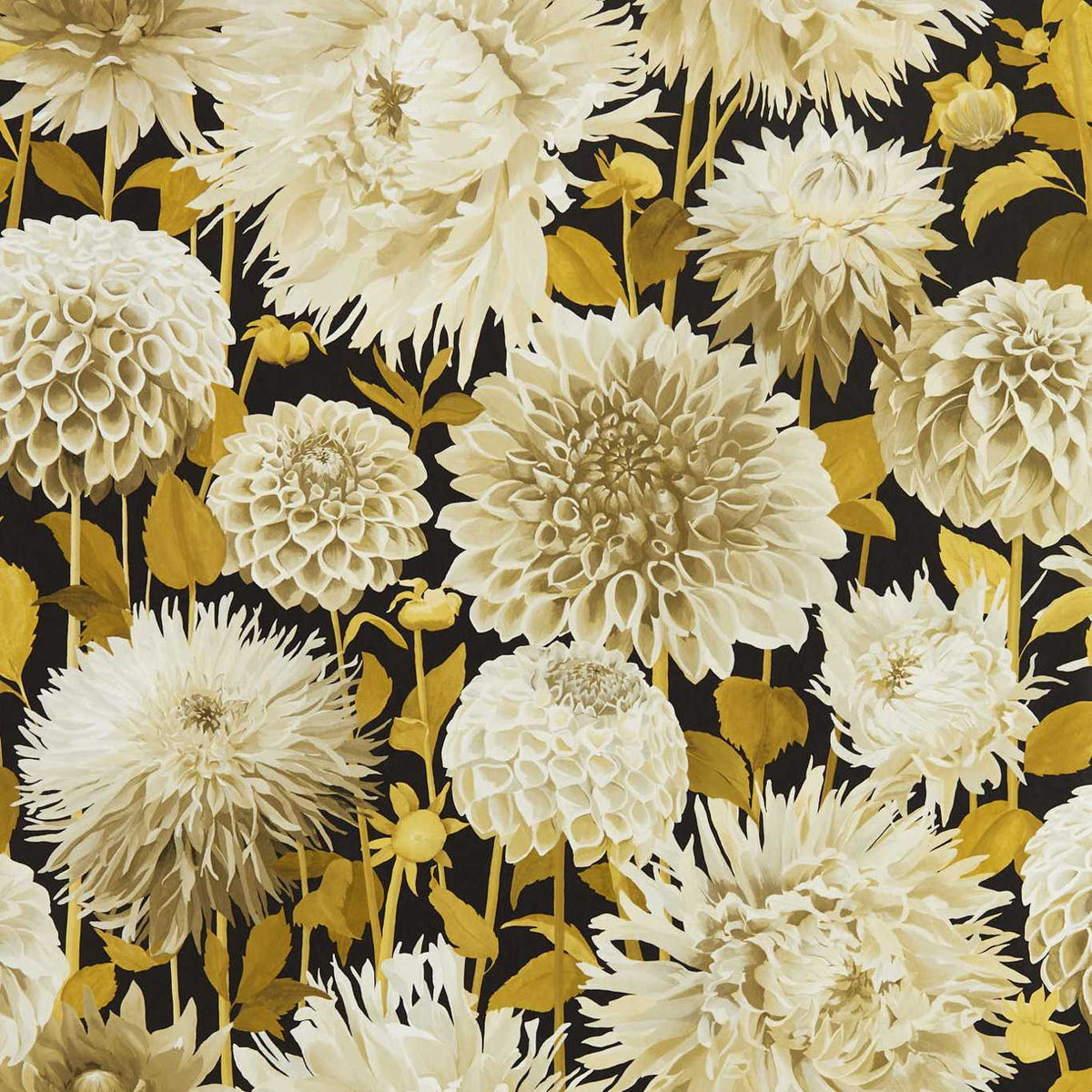 Dahlia - Black Earth/Fig Blossom/Nectar
