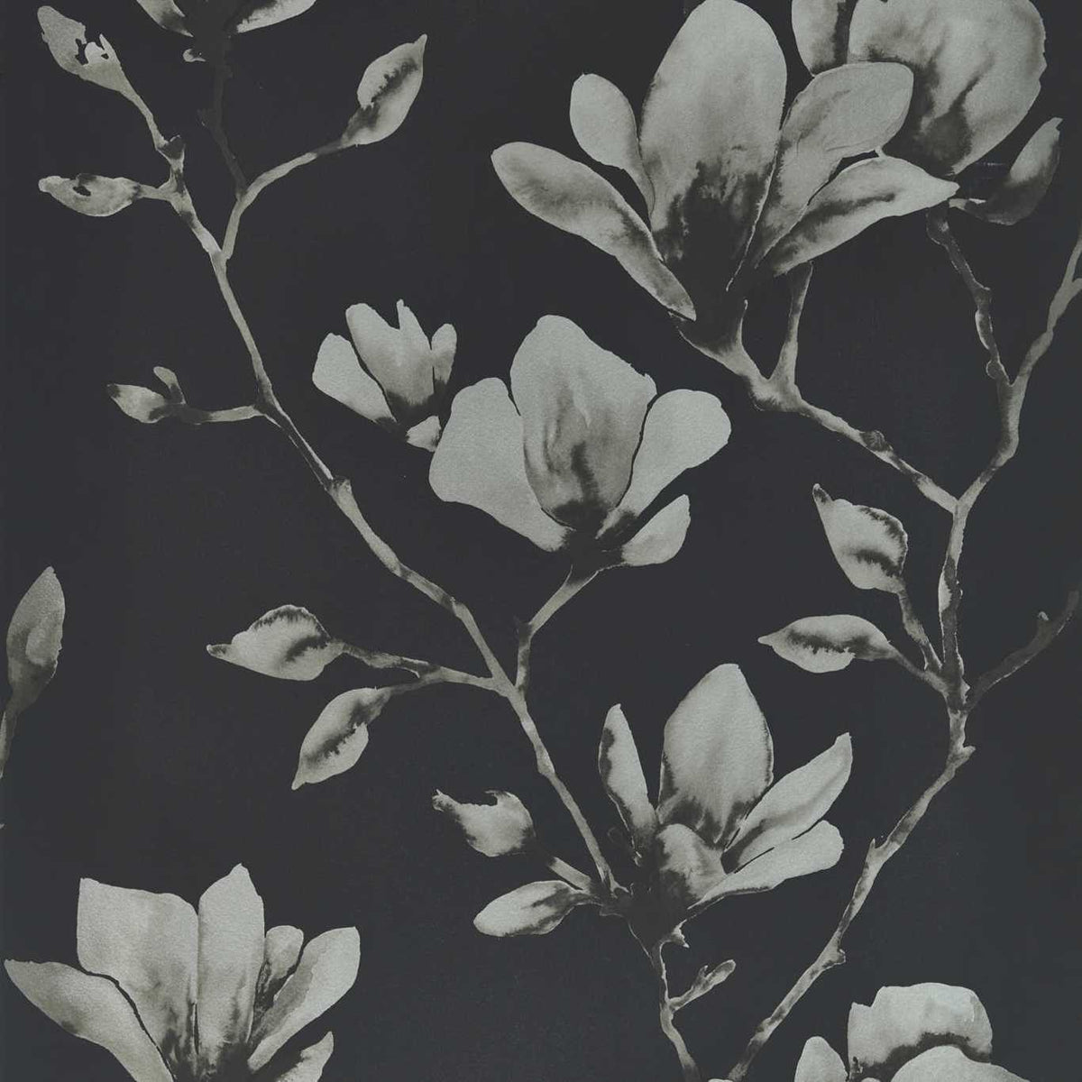 Lotus Onyx/Silver