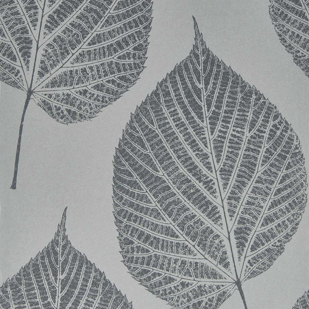Leaf Slate/Silver