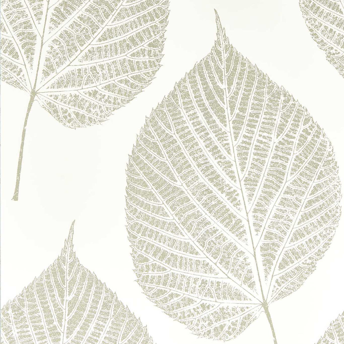 Leaf Chalk/Silver
