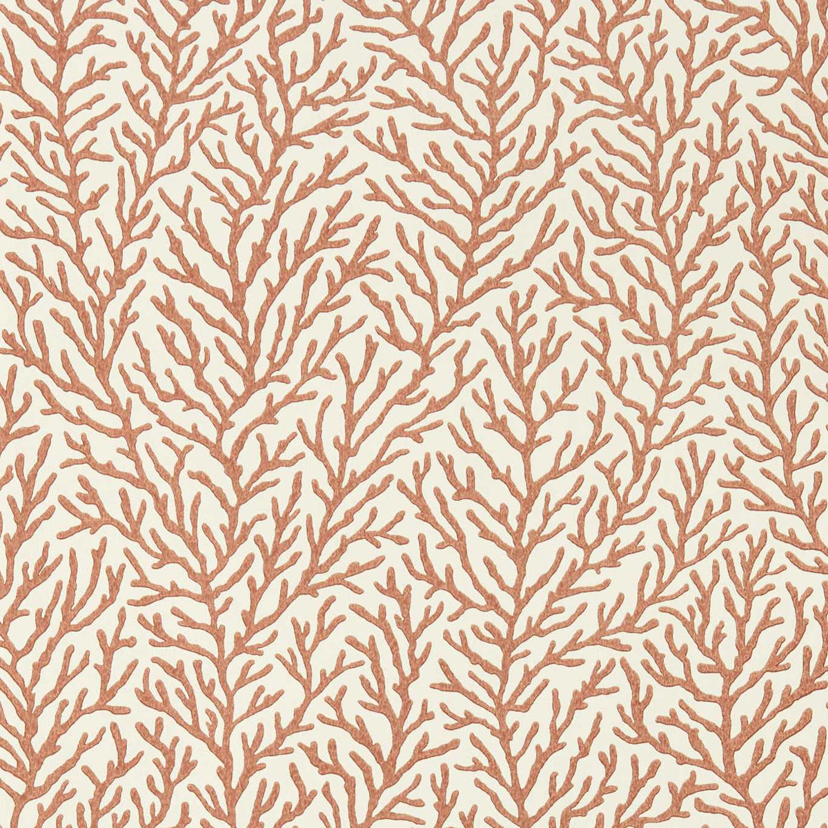 Atoll - Bronze/Sailcloth