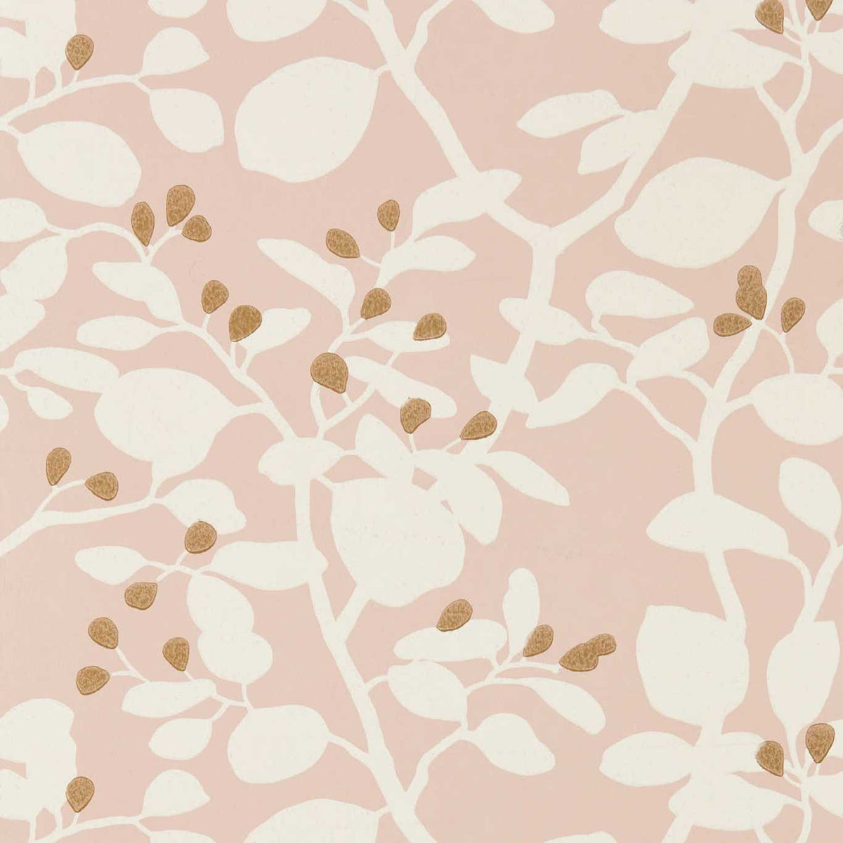 Ardisia - Positano/Sailcloth/Gold