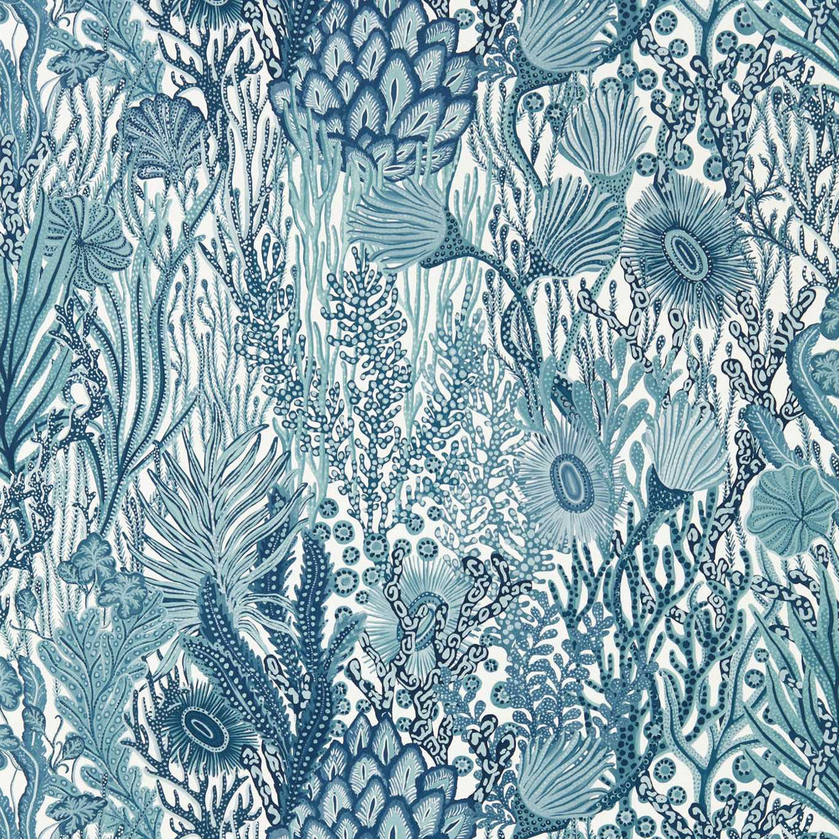 Acropora - Exhale/Murmuration