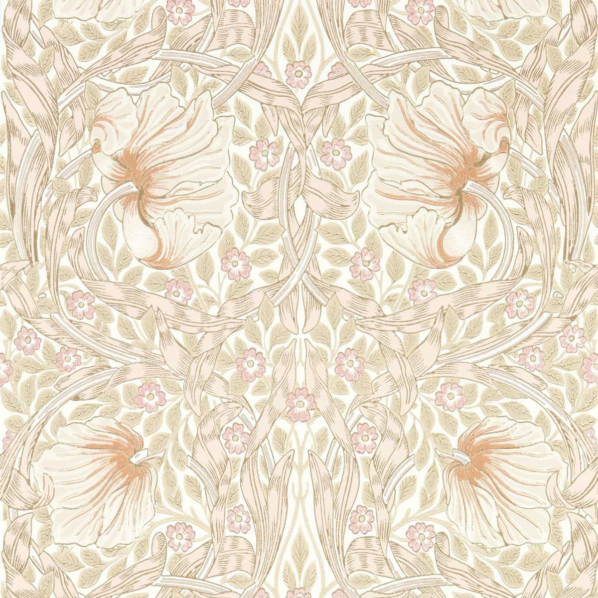 Pimpernel - Cochineal Pink