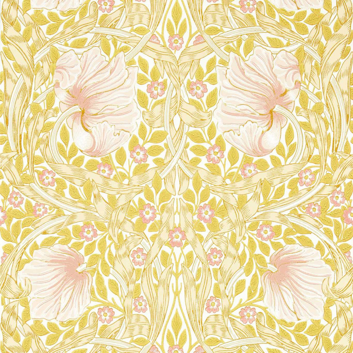 Pimpernel - Sunflower/Pink