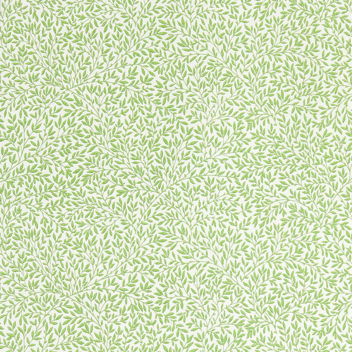 Standen - Leaf Green