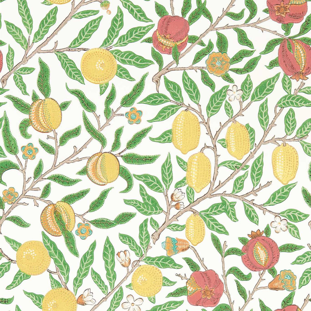 Fruit - Leaf Green/Madder