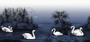 Swan Lake - Nightfall