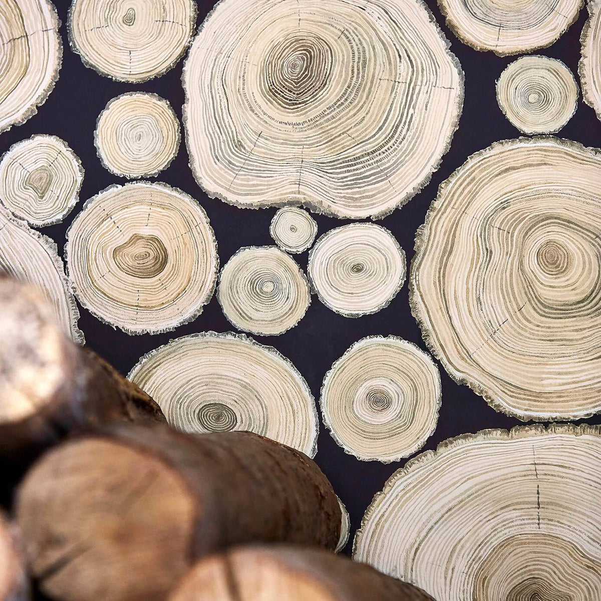 Alnwick Logs - Lacquer Black