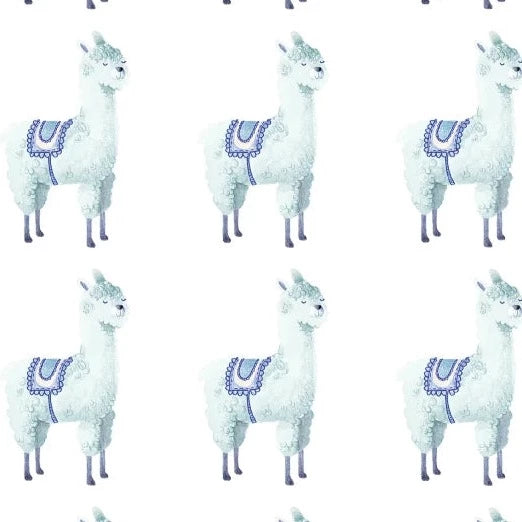Alpaca Rebel - Sky