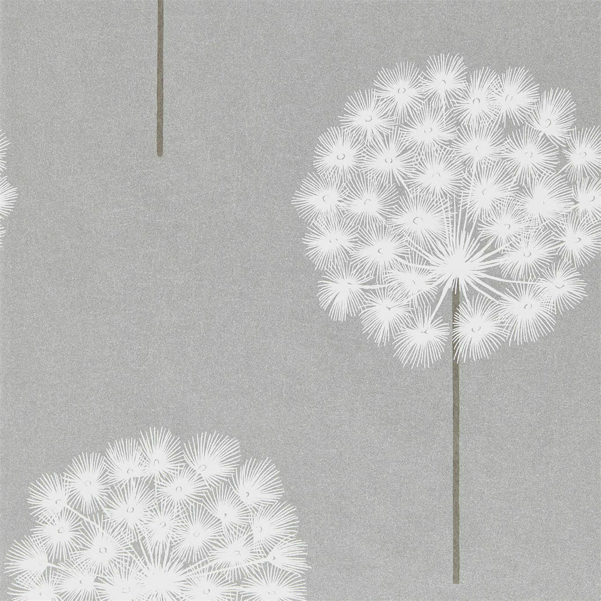 Amity - Silver/Chalk