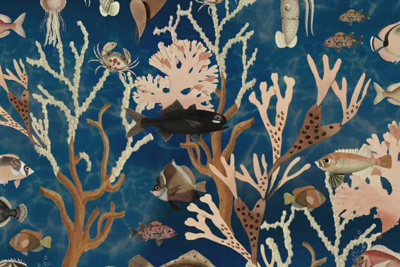 Aquarium - Ocean