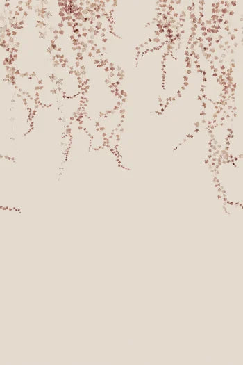 Aralia - Burgundy
