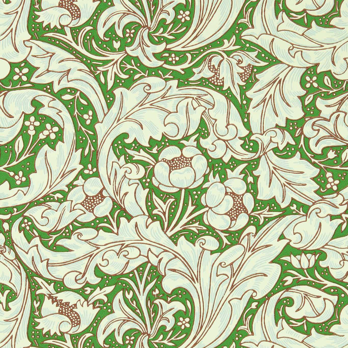 Bachelors Button - Leaf Green/Sky