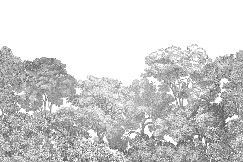 Bellewood - Grey Toile