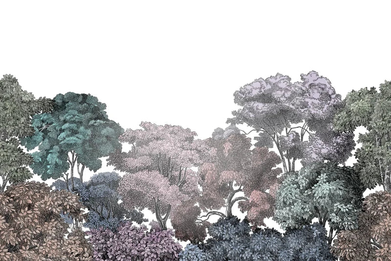 Bellewood - Rainbow
