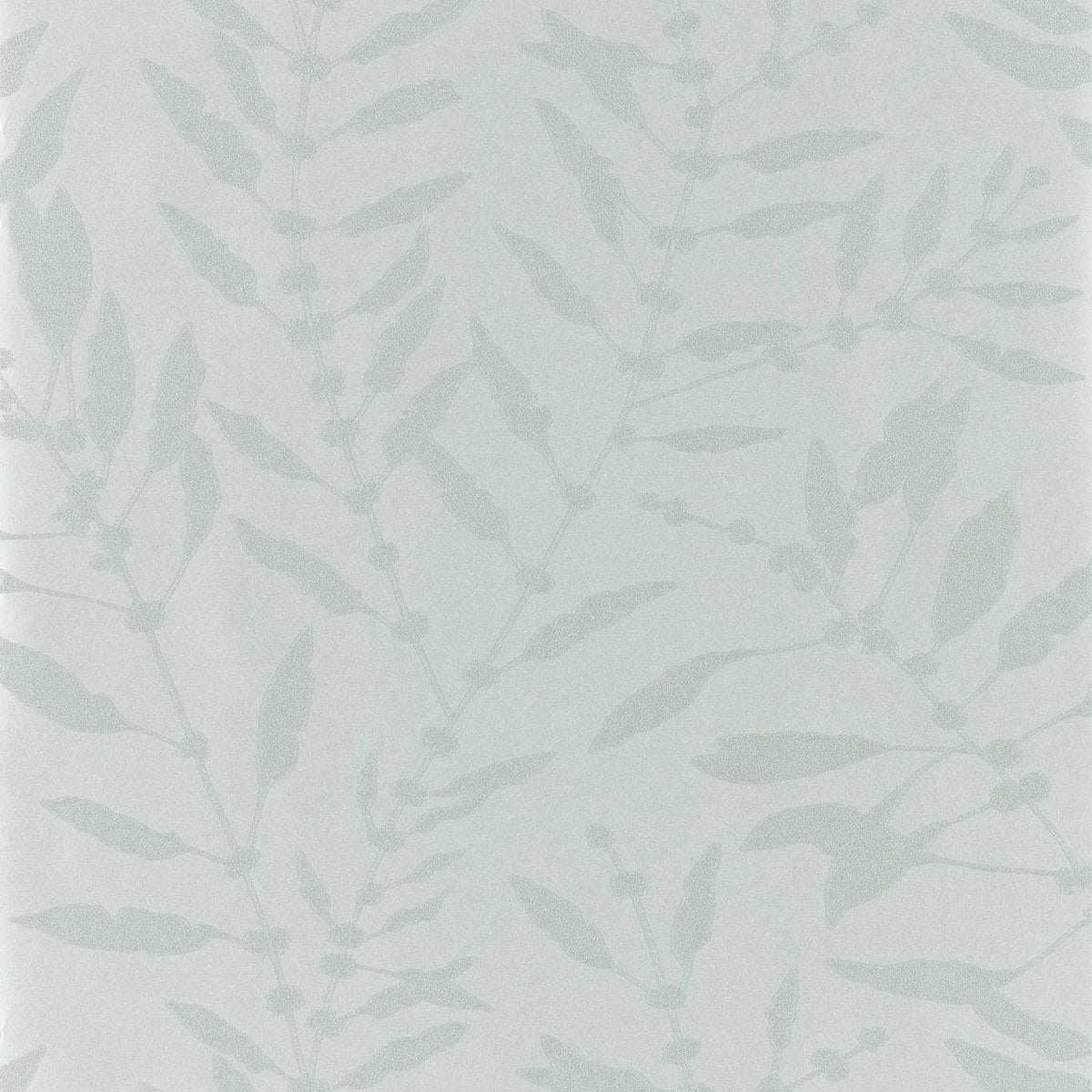 Chaconia Shimmer - Stone