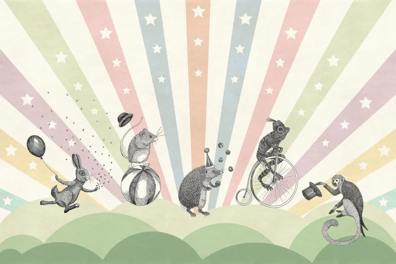 Circus - Pastel